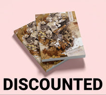 Load image into Gallery viewer, Halcyon Days Artbook (DISCOUNTED)