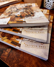 Load image into Gallery viewer, Halcyon Days Artbook (DISCOUNTED)